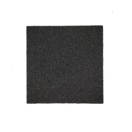Secondary Filter For Riccar Moonlight and Pizzazz